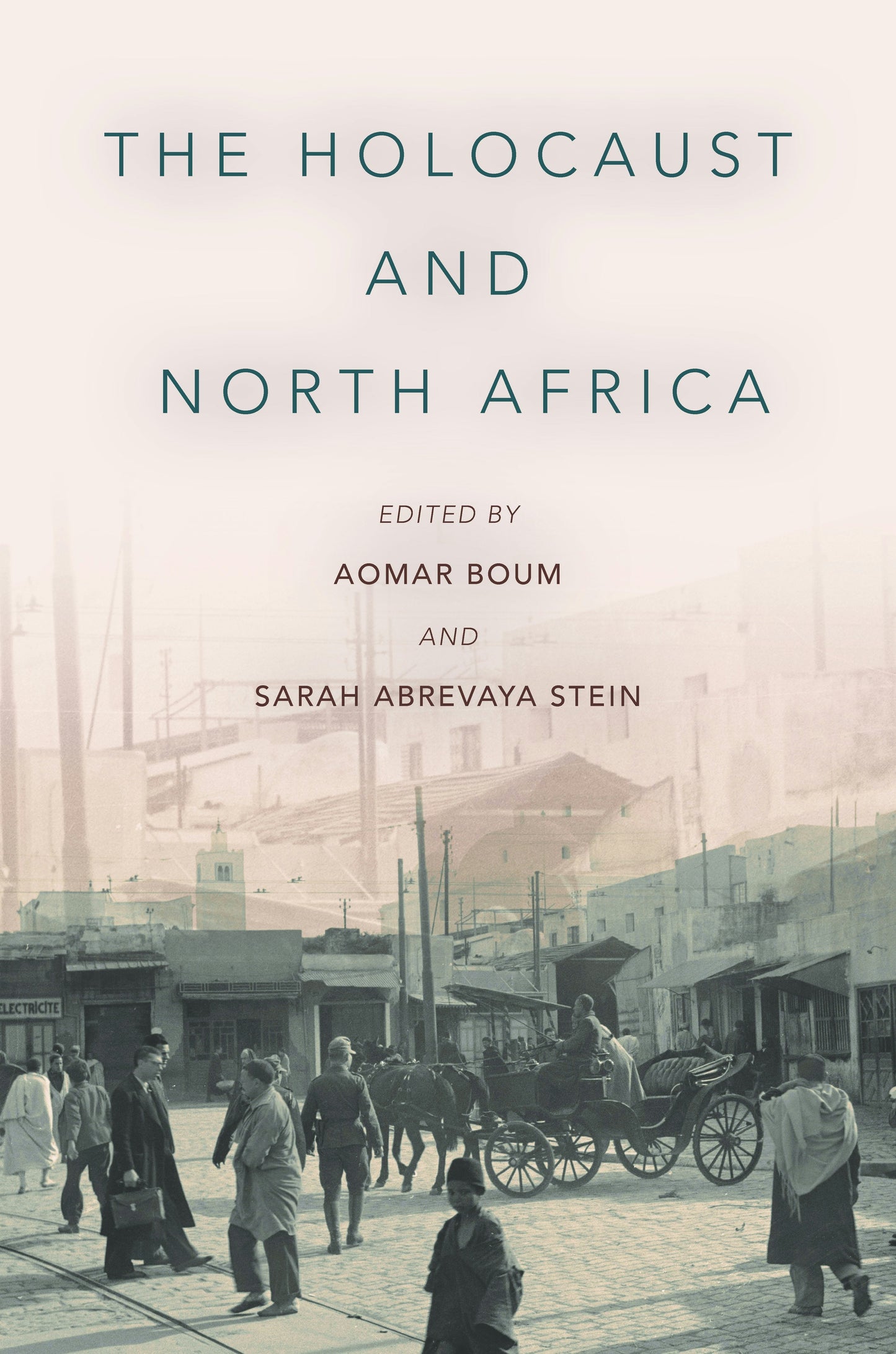 Book cover image for The Holocaust and North Africa ISBN: 9781503607057
