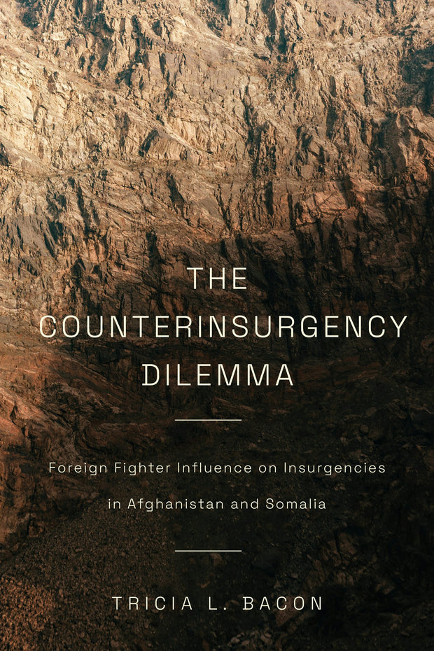 Cover image for The Counterinsurgency Dilemma, isbn: 9781503611870