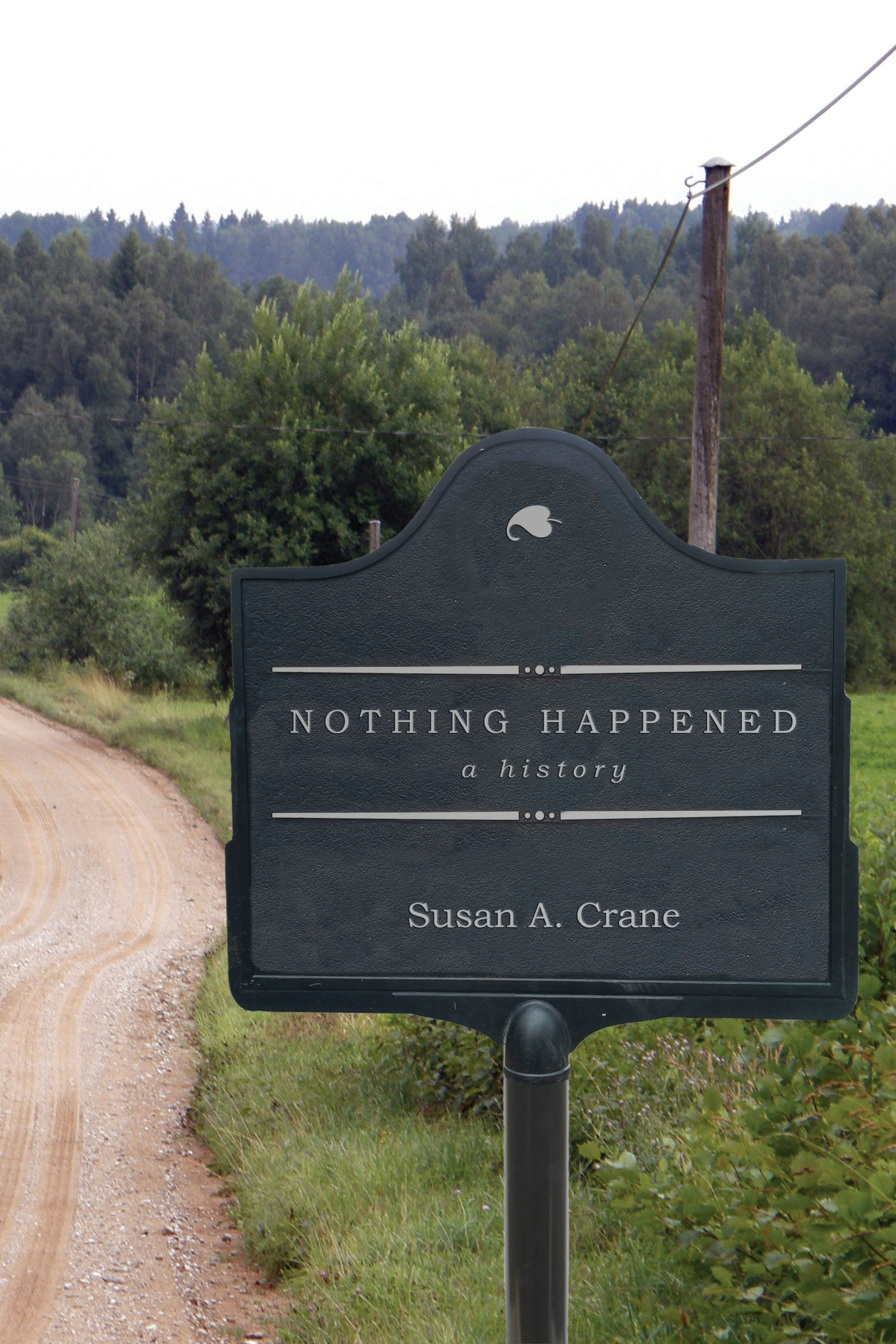 Book cover image for Nothing Happened ISBN: 9781503613478