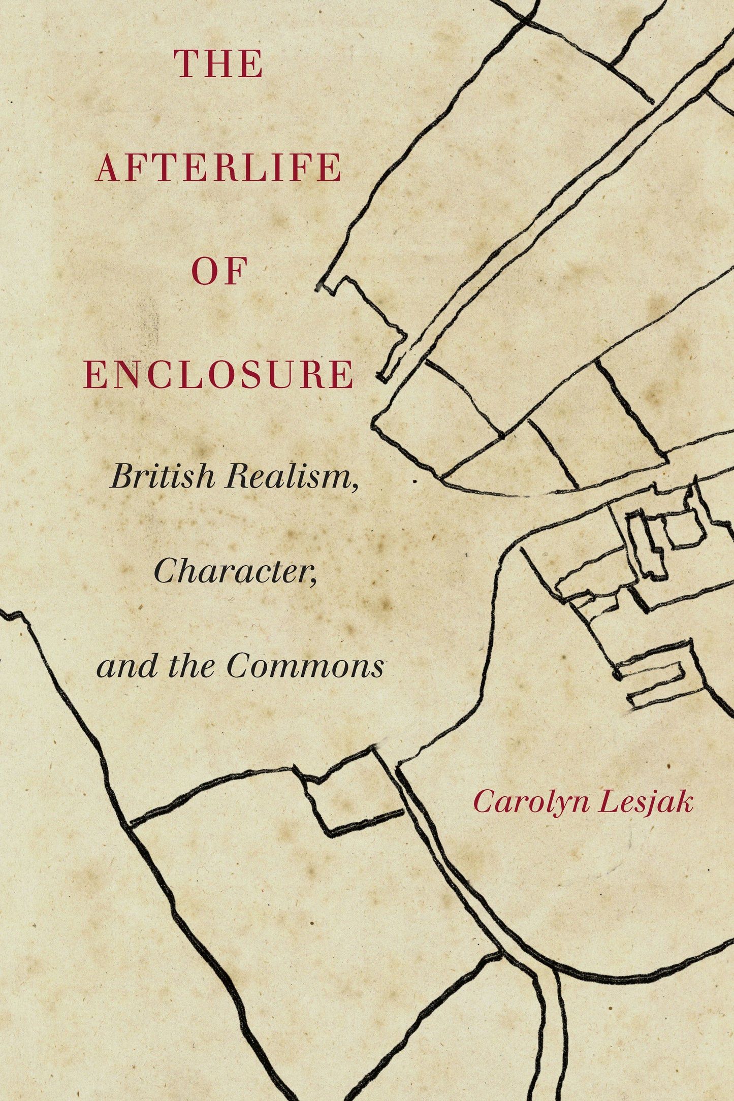 Book cover image for The Afterlife of Enclosure ISBN: 9781503615083