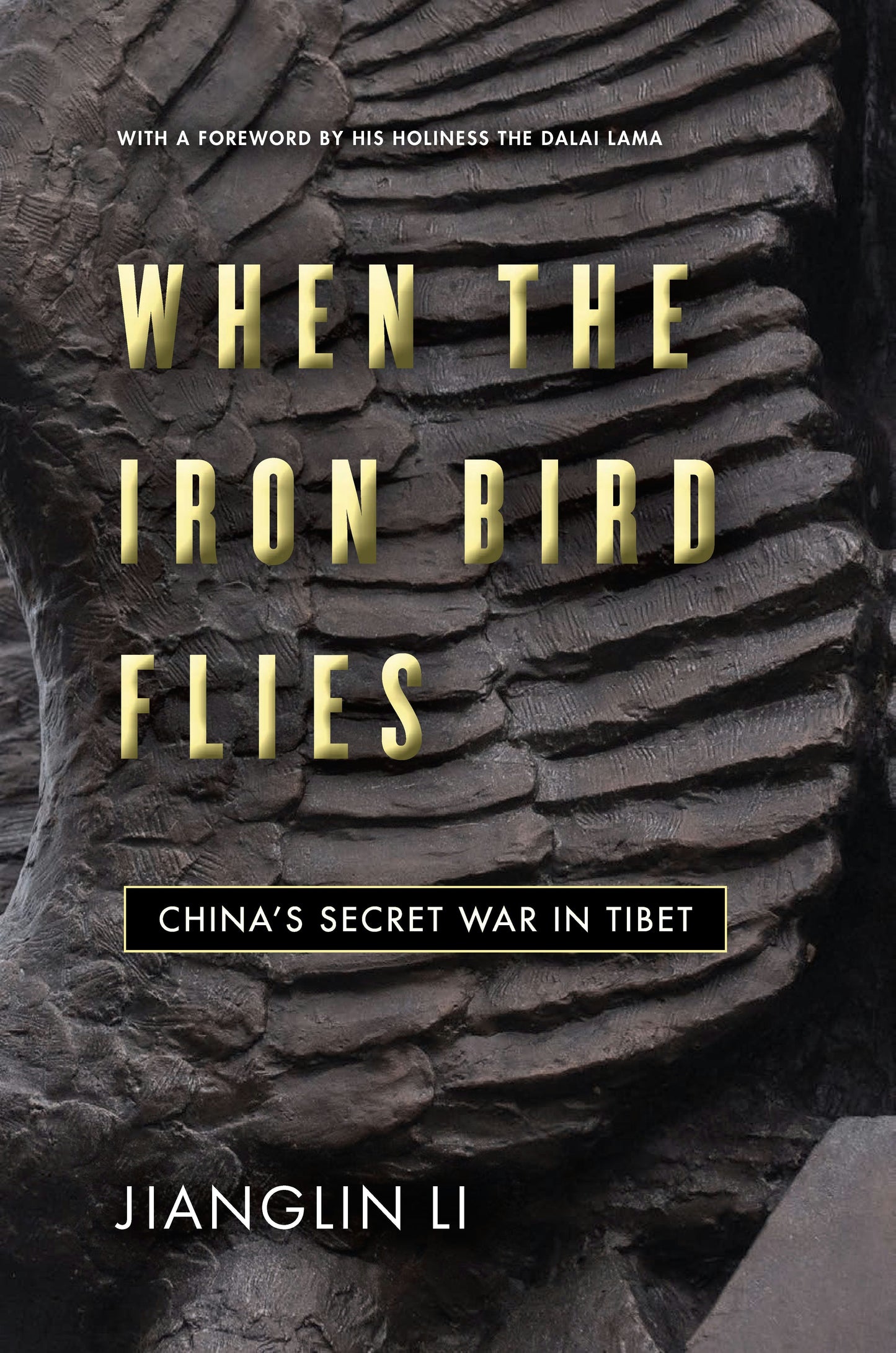 Book cover image for When the Iron Bird Flies ISBN: 9781503615090