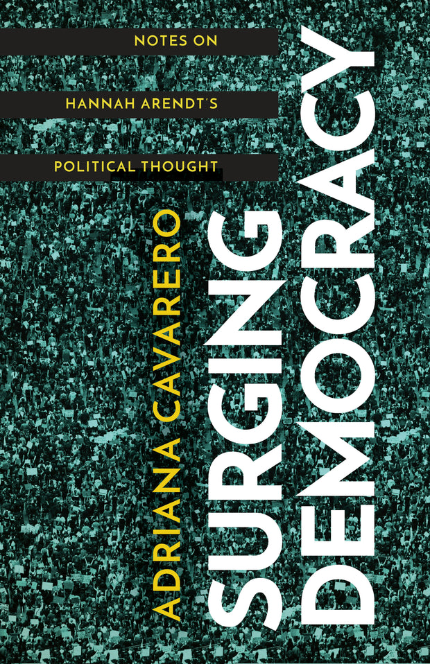 Cover image for Surging Democracy, isbn: 9781503627499