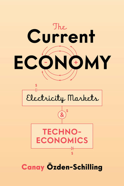 Cover image for The Current Economy, isbn: 9781503628212
