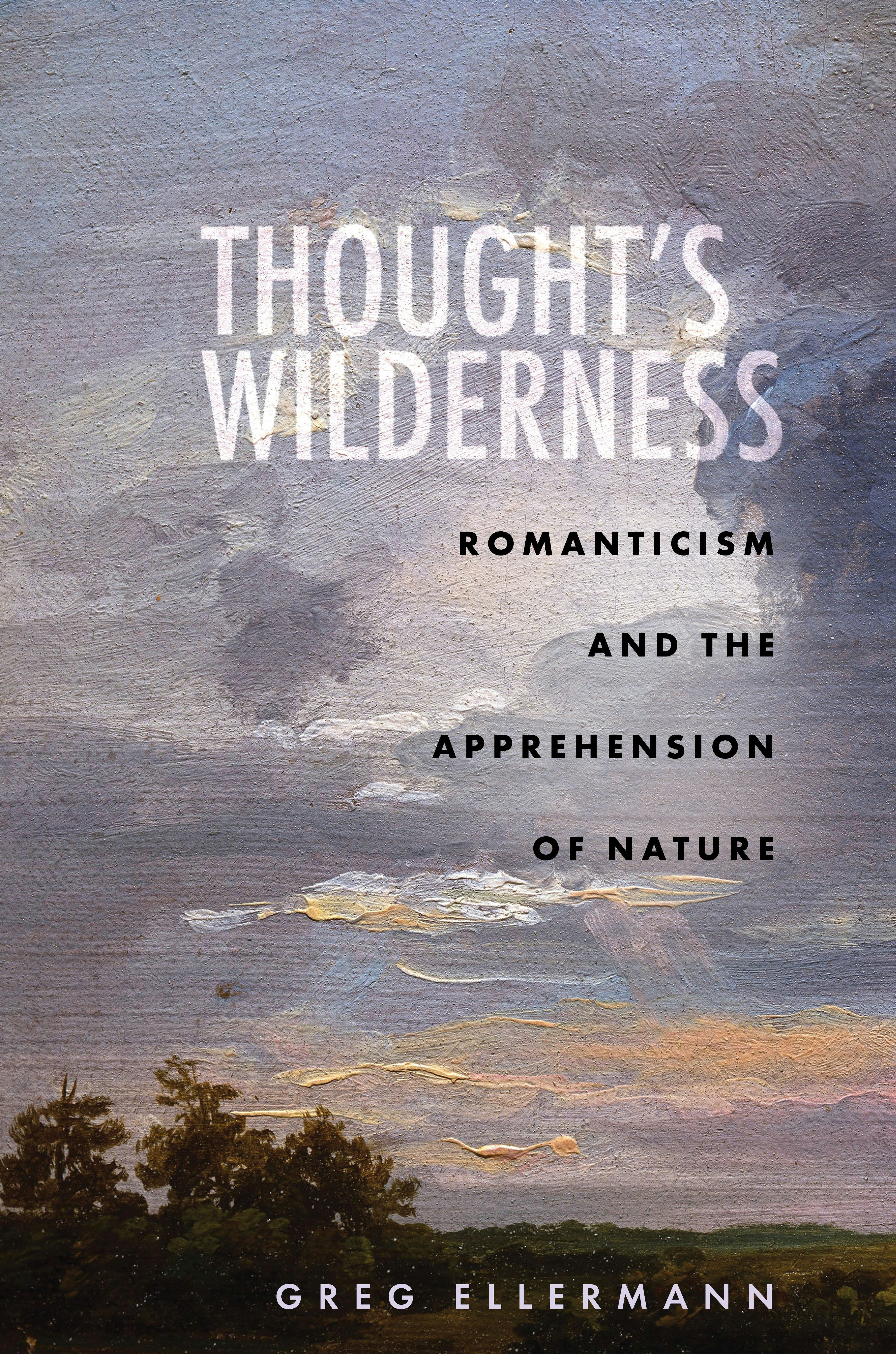 Book cover image for Thought’s Wilderness ISBN: 9781503628489