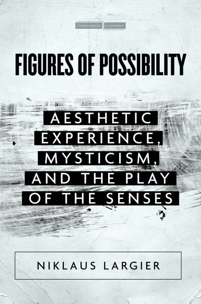 Cover image for Figures of Possibility, isbn: 9781503630437