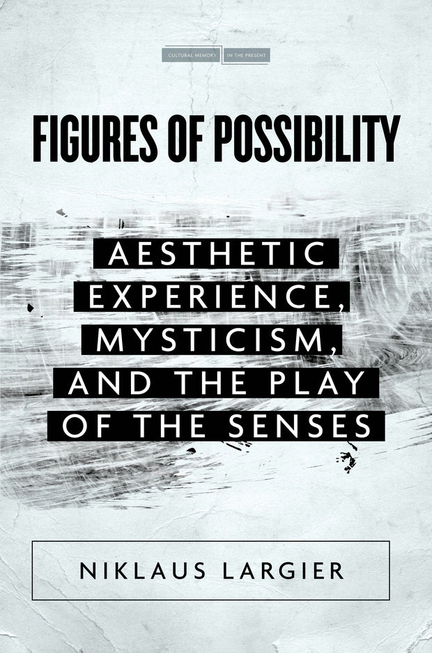 Cover image for Figures of Possibility, isbn: 9781503630437