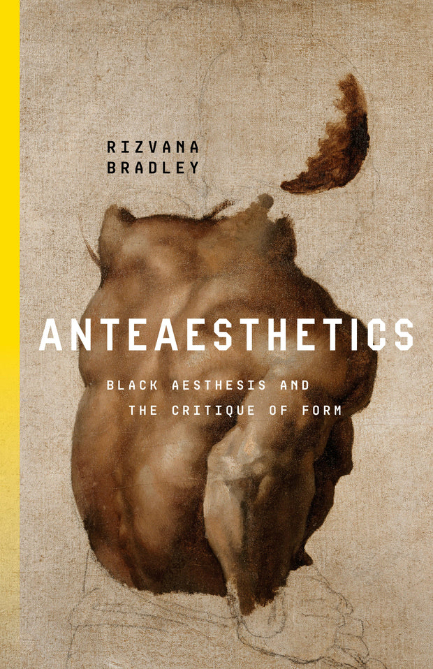 Cover image for Anteaesthetics, isbn: 9781503633025
