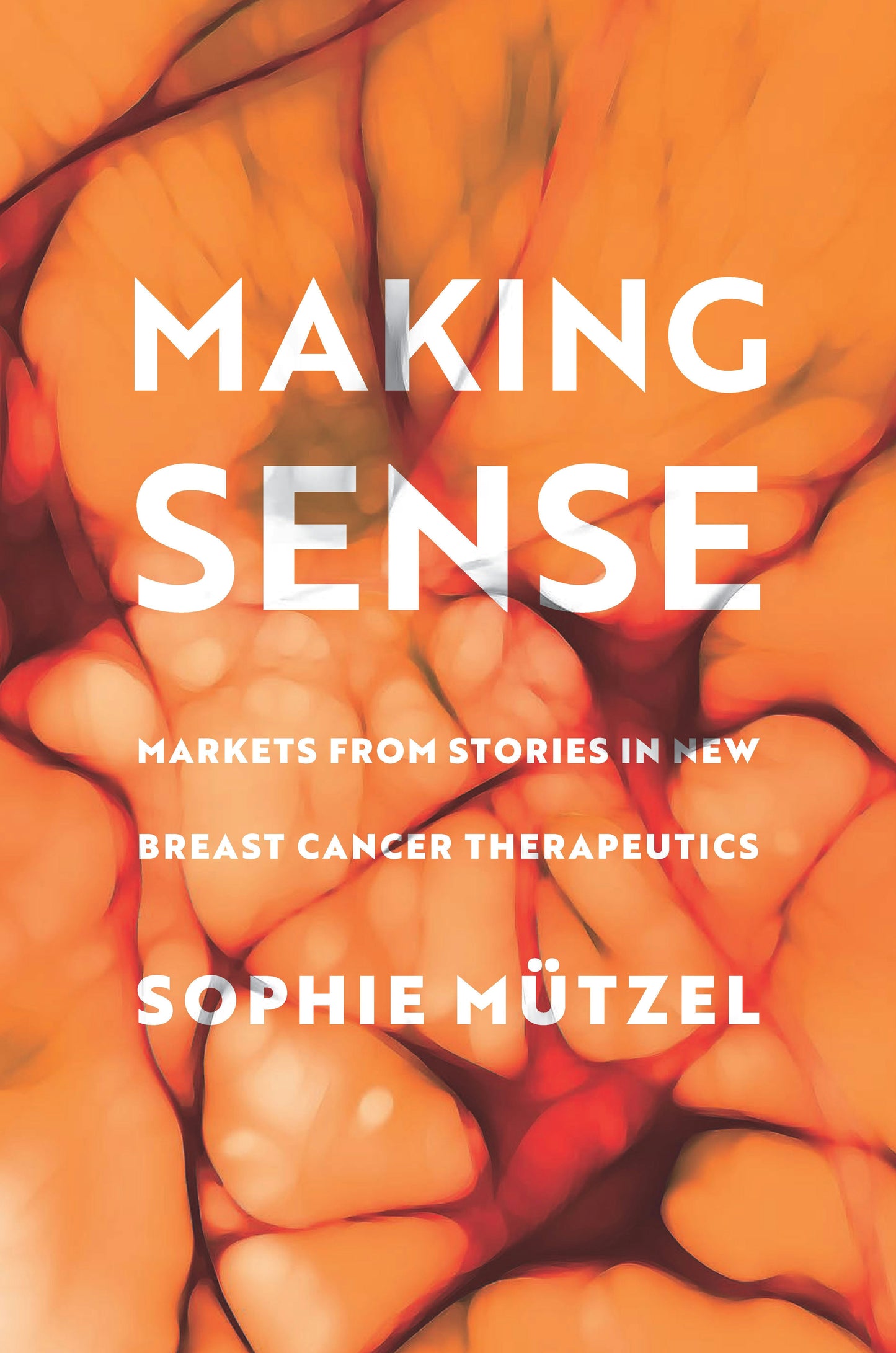 Book cover image for Making Sense ISBN: 9781503634060