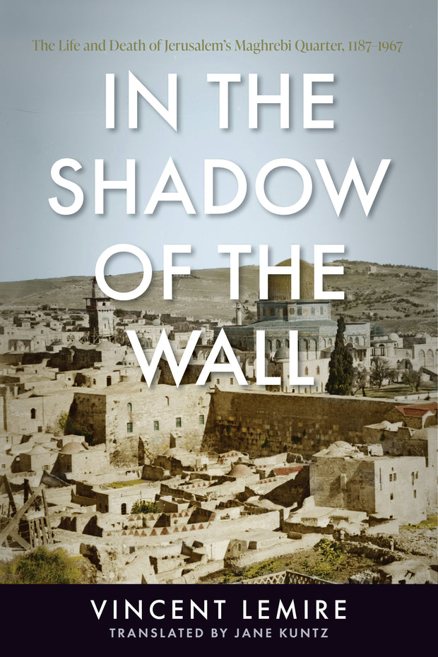 Cover image for In the Shadow of the Wall, isbn: 9781503634206