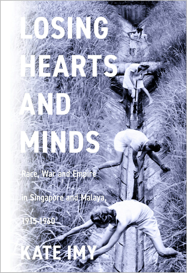 Cover image for Losing Hearts and Minds, isbn: 9781503634626