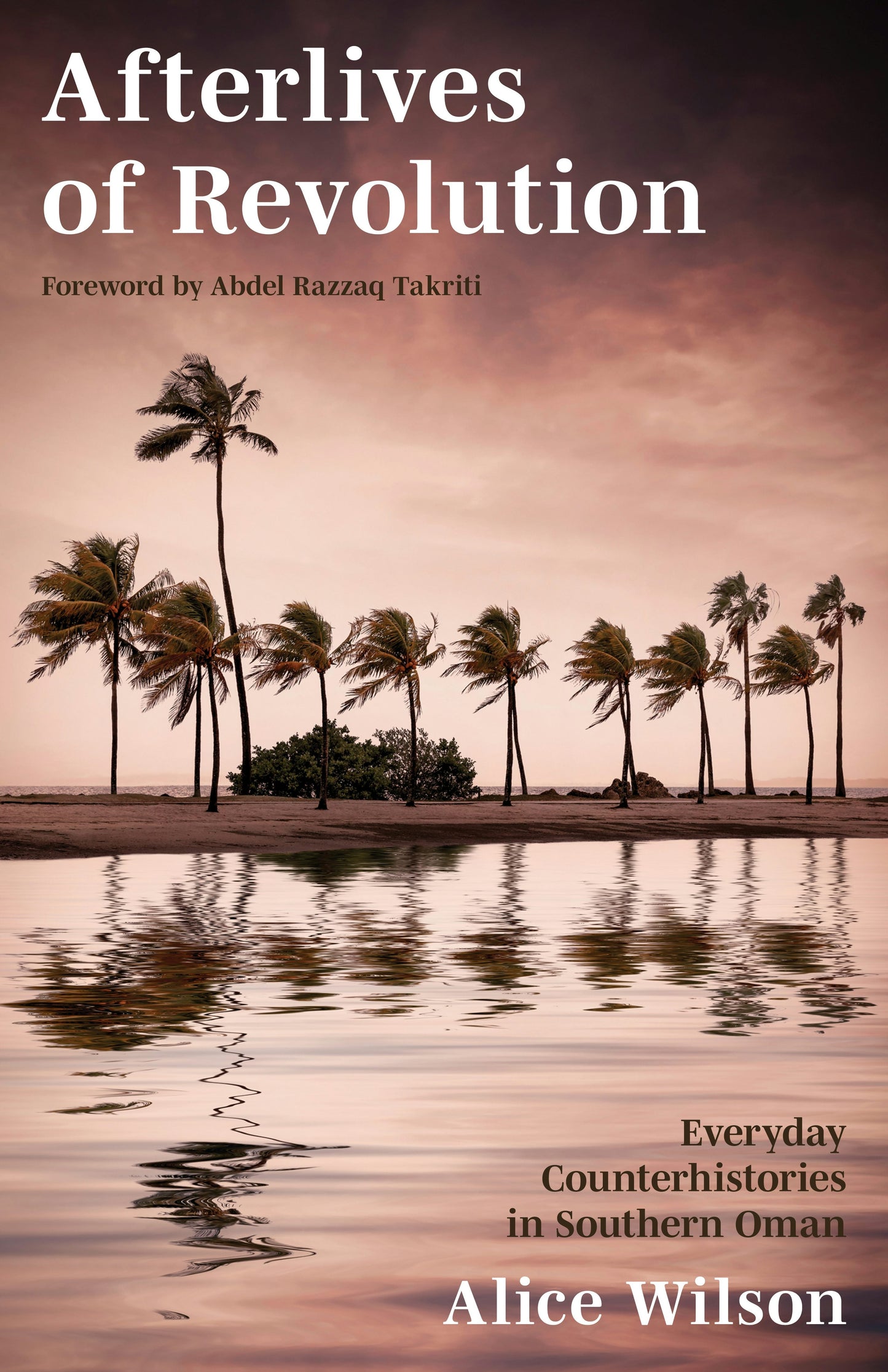 Book cover image for Afterlives of Revolution ISBN: 9781503635784