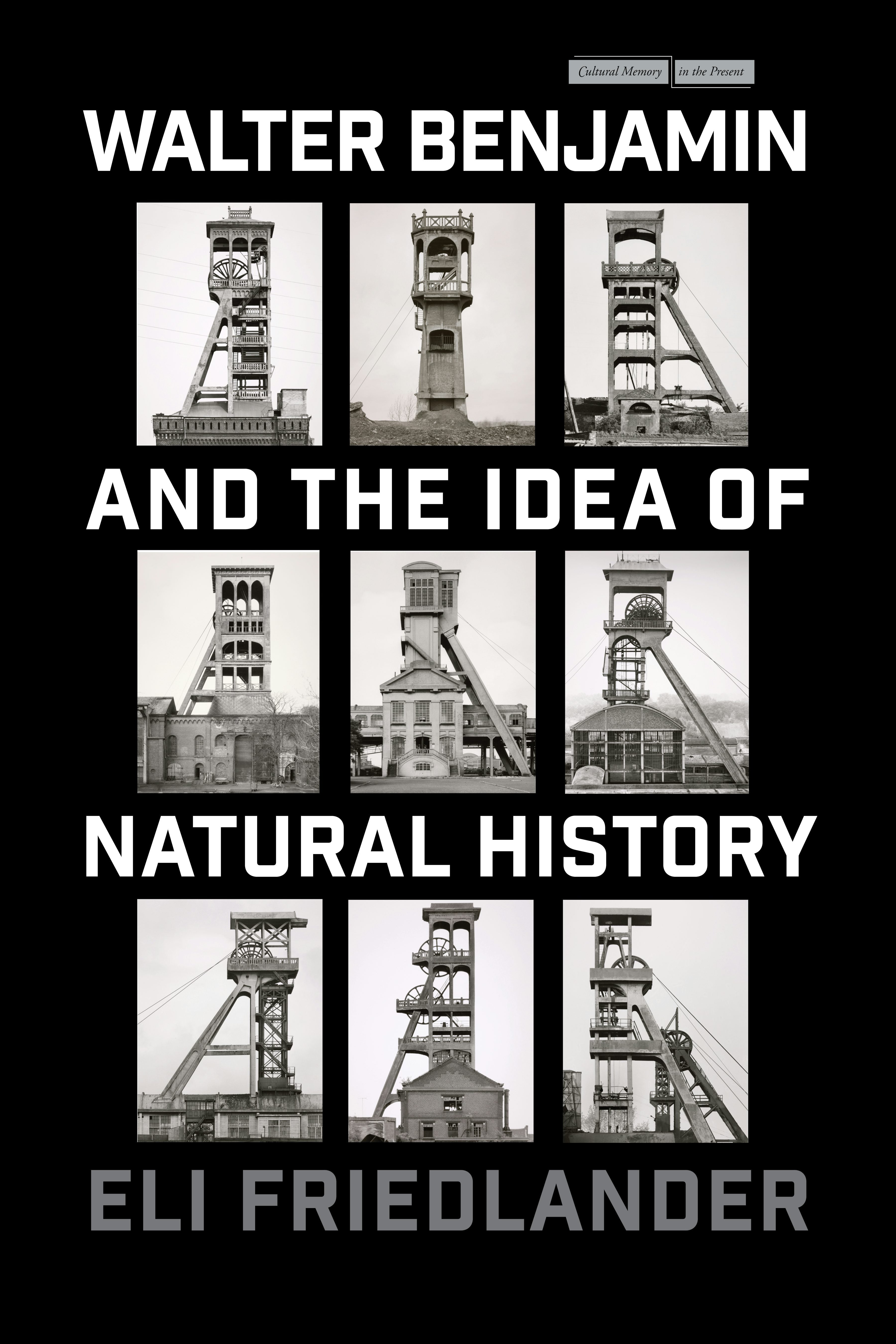 Book cover image for Walter Benjamin and the Idea of Natural History ISBN: 9781503636552