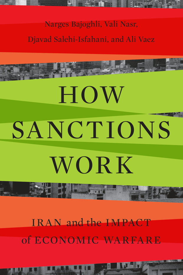 Cover image for How Sanctions Work, isbn: 9781503637313