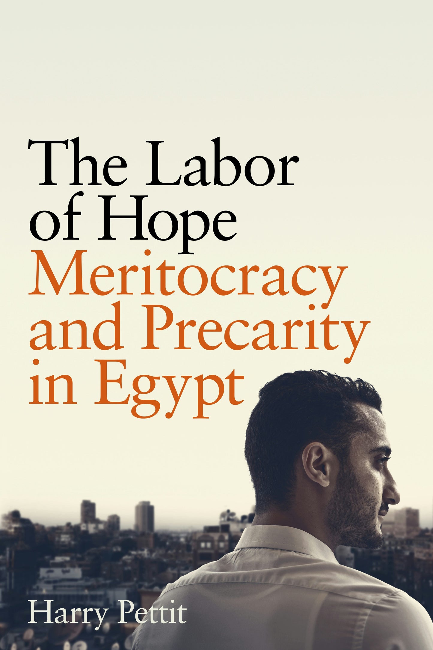 Book cover image for The Labor of Hope ISBN: 9781503637443