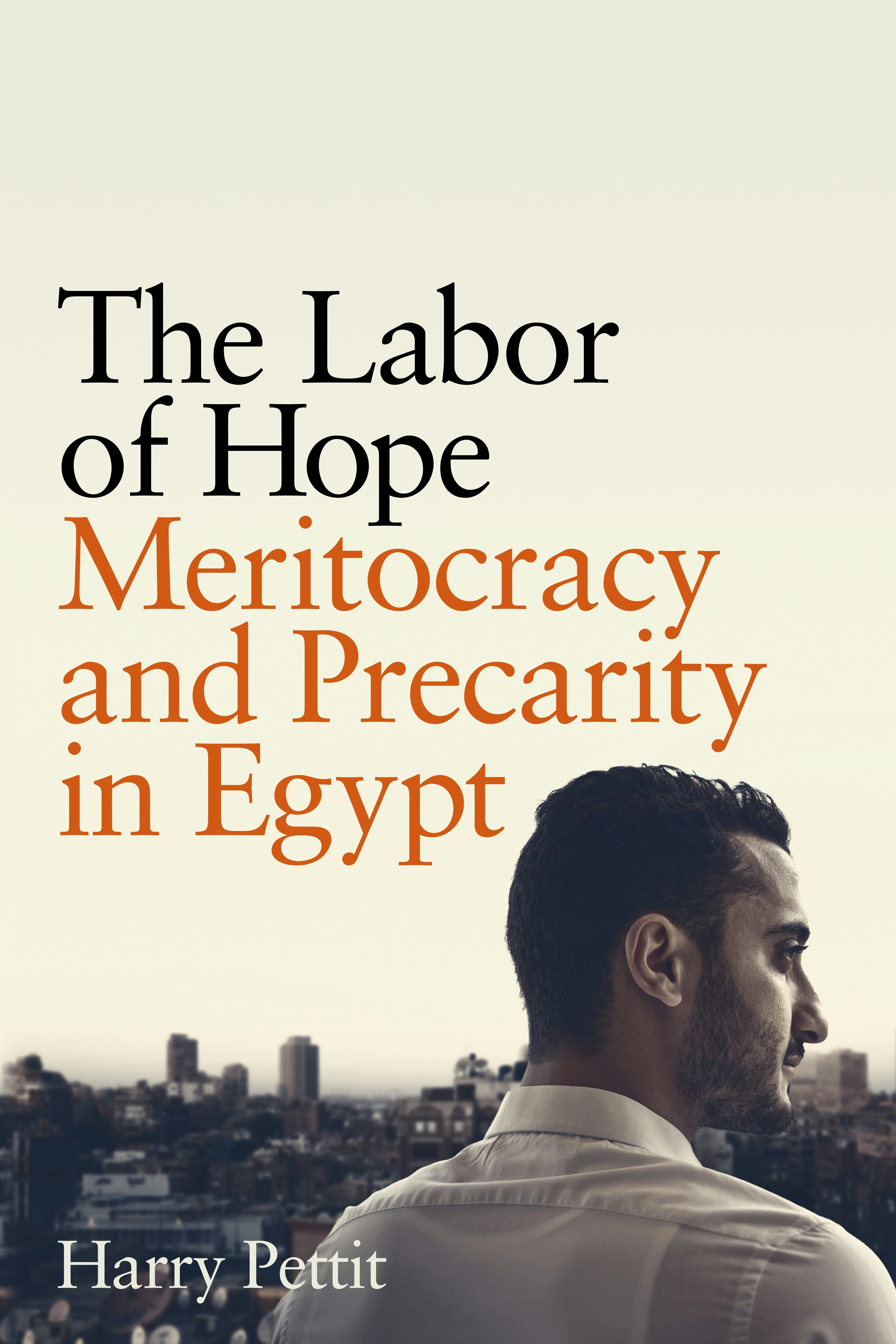 Book cover image for The Labor of Hope ISBN: 9781503637443