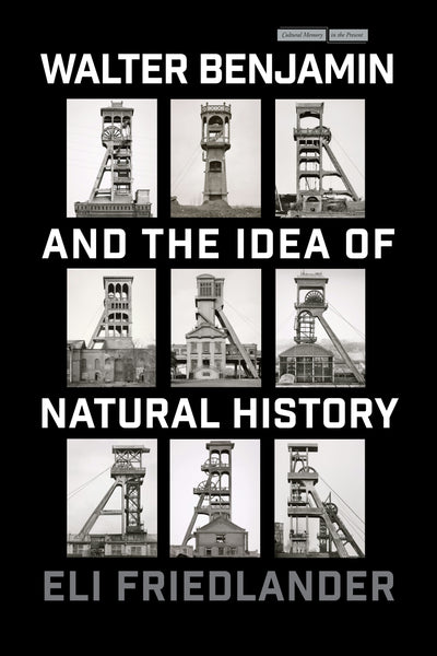 Cover image for Walter Benjamin and the Idea of Natural History, isbn: 9781503637702