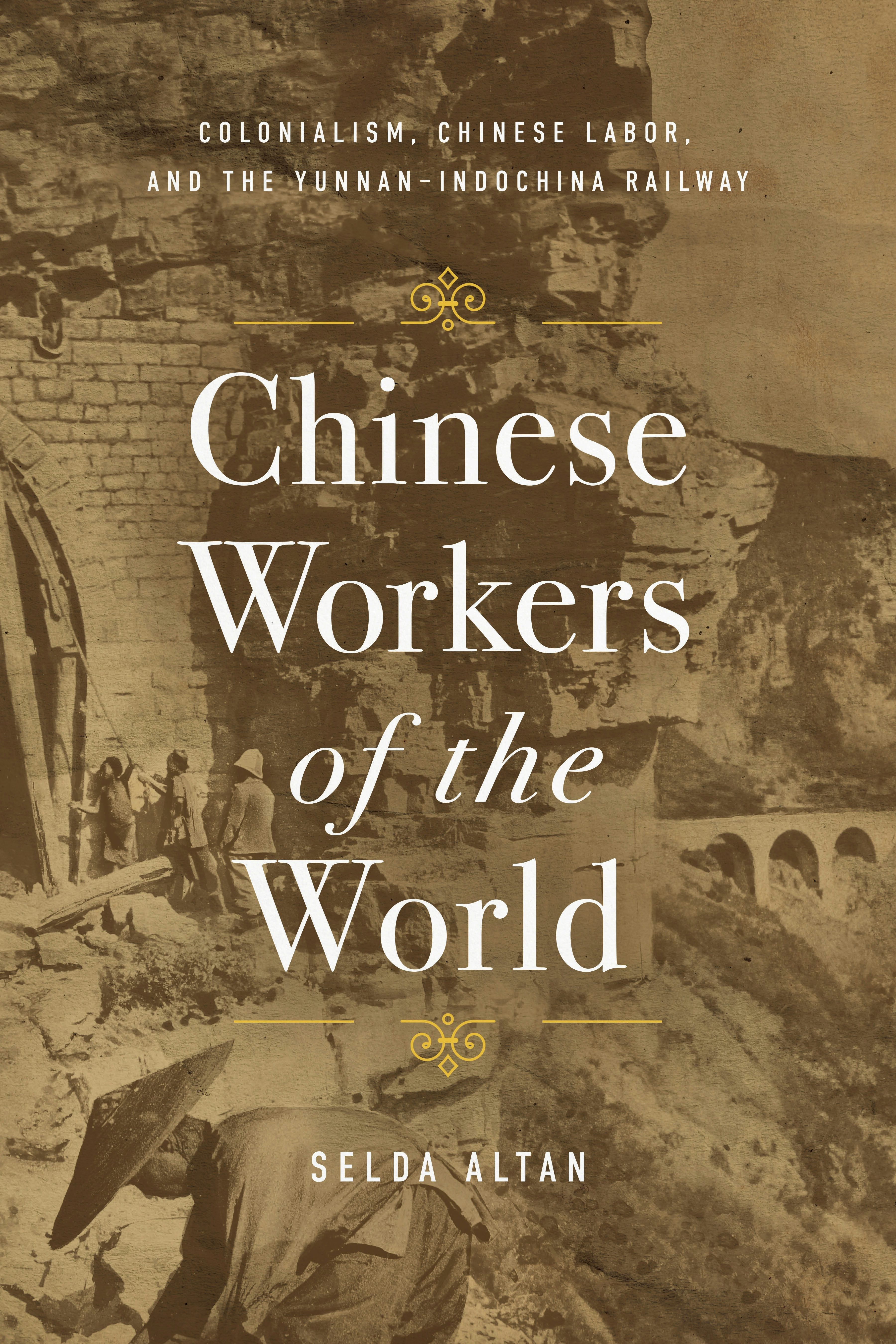 Book cover image for Chinese Workers of the World ISBN: 9781503638235