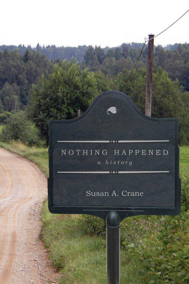 Cover image for Nothing Happened, isbn: 9781503640115