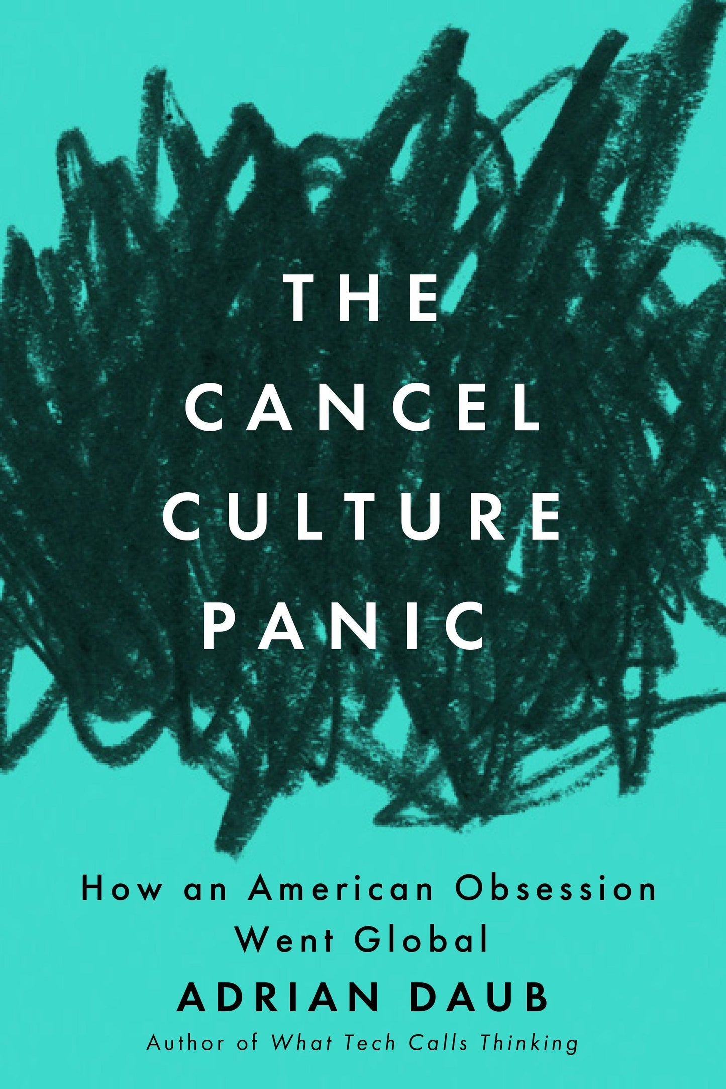 Book cover image for The Cancel Culture Panic ISBN: 9781503640849