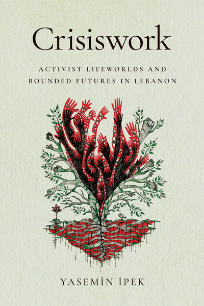 Cover image for Crisiswork, isbn: 9781503643864