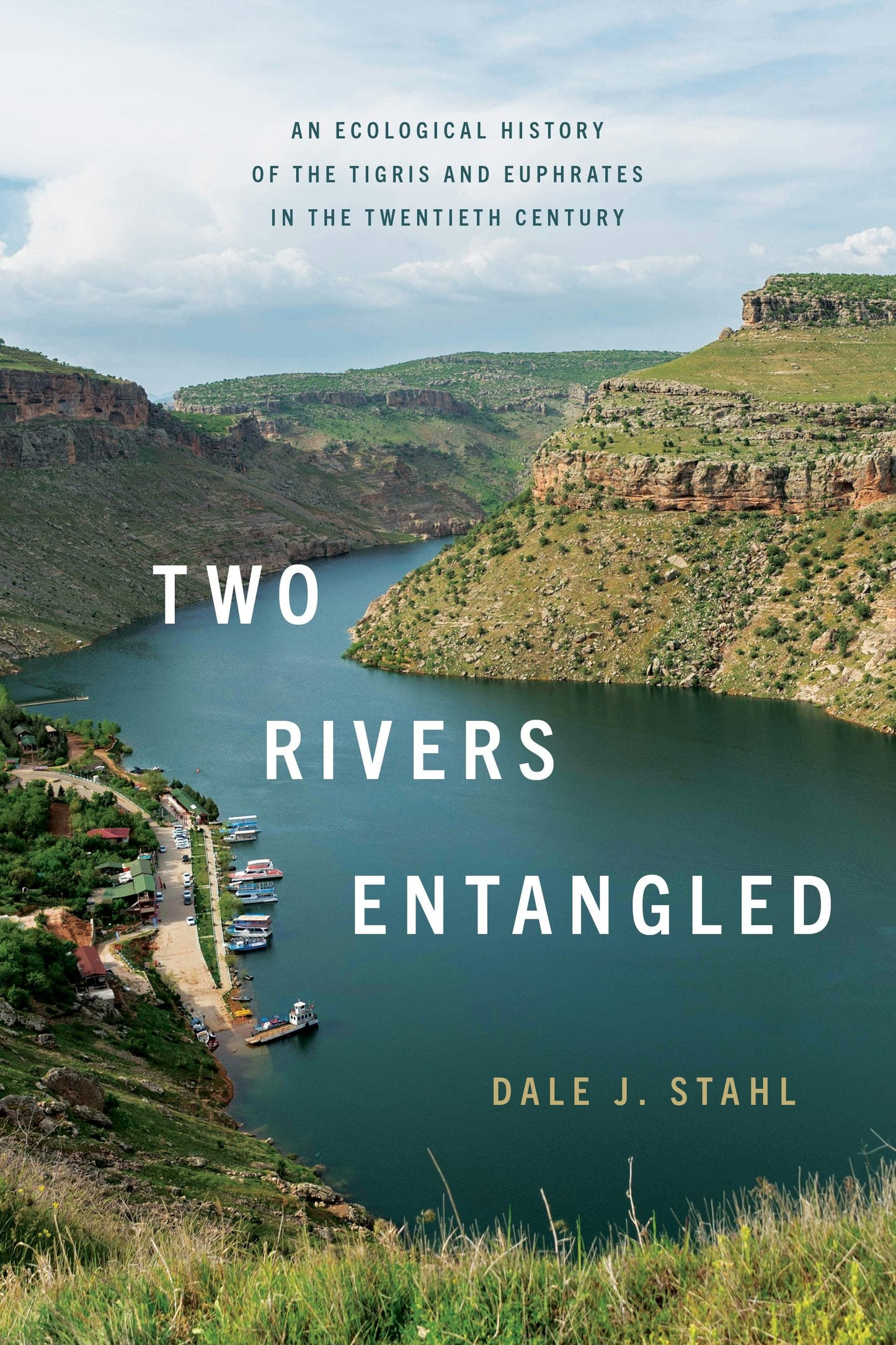 Book cover image for Two Rivers Entangled ISBN: 9781503644731