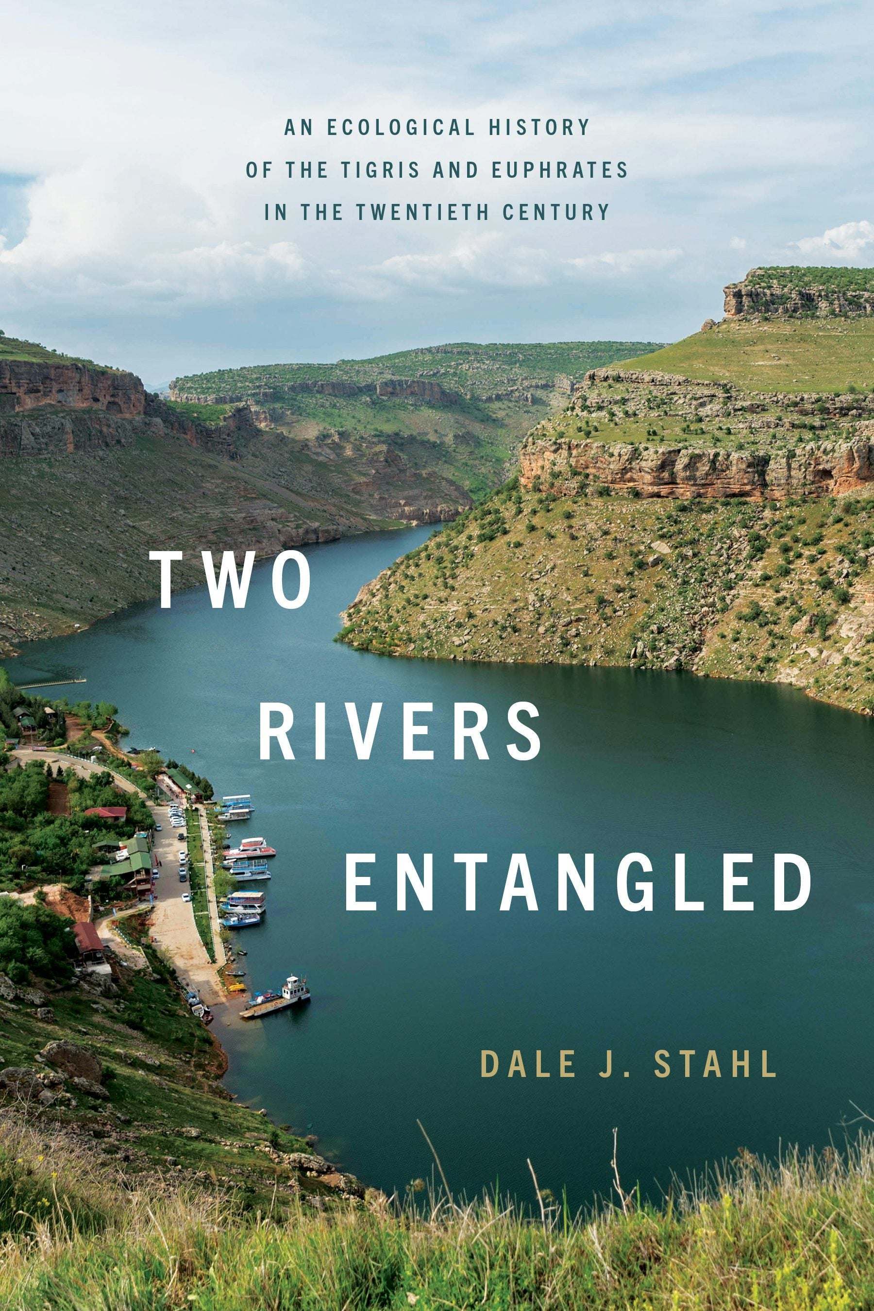 Book cover image for Two Rivers Entangled ISBN: 9781503644731