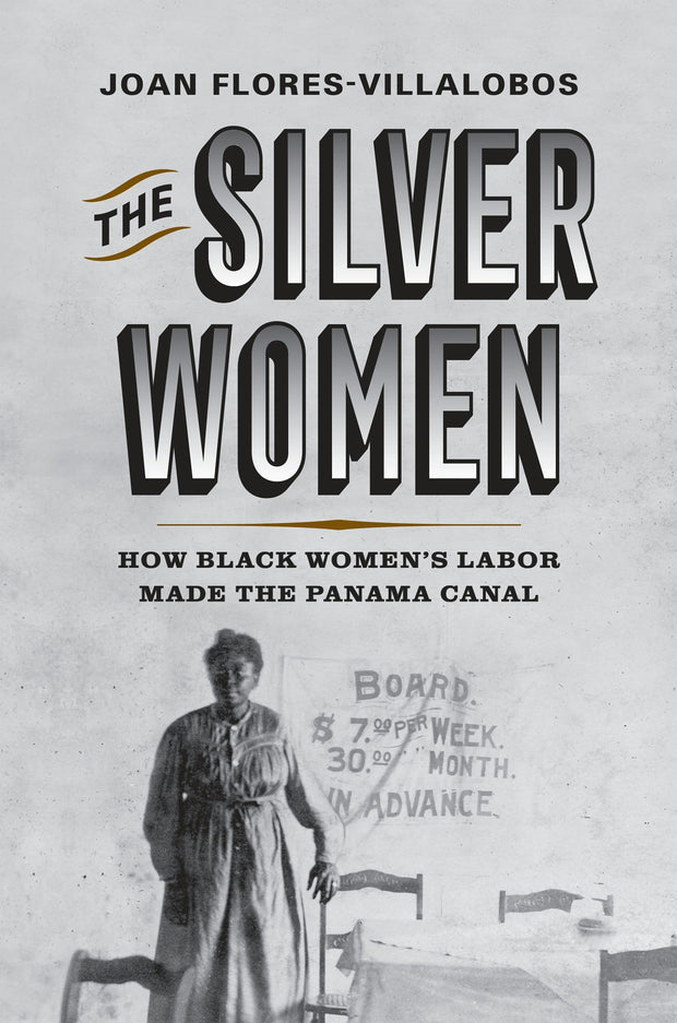 Cover image for The Silver Women, isbn: 9781512823646