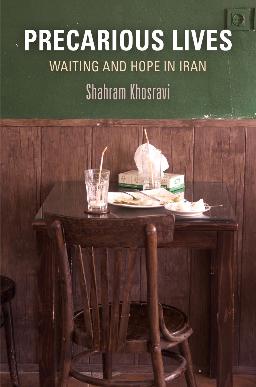 Book cover image for Precarious Lives ISBN: 9781512825565