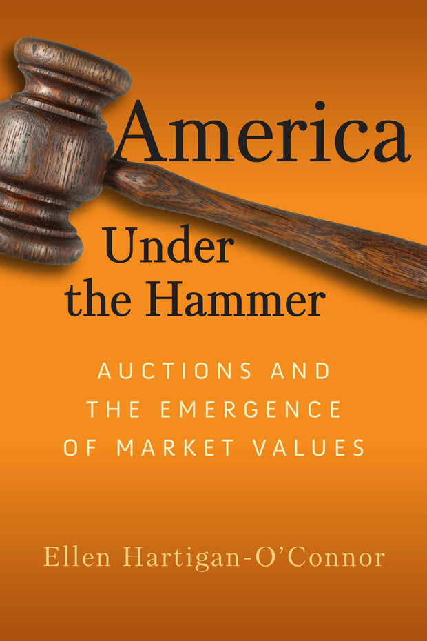 Cover image for America Under the Hammer, isbn: 9781512826517