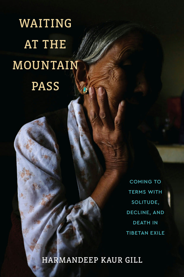 Cover image for Waiting at the Mountain Pass, isbn: 9781512827354