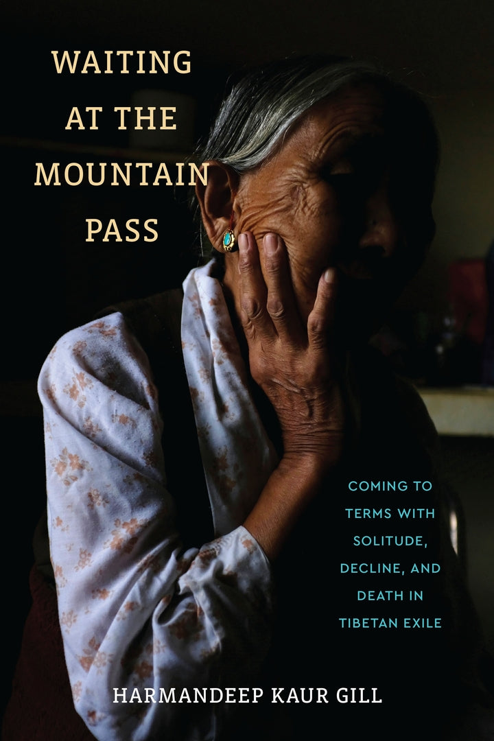 Cover image for Waiting at the Mountain Pass ISBN 9781512827361