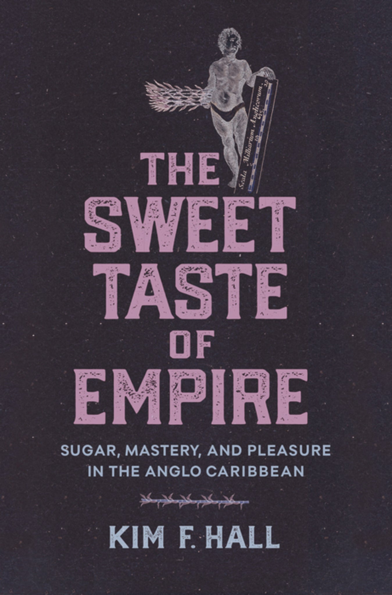Cover image for The Sweet Taste of Empire ISBN 9781512827873