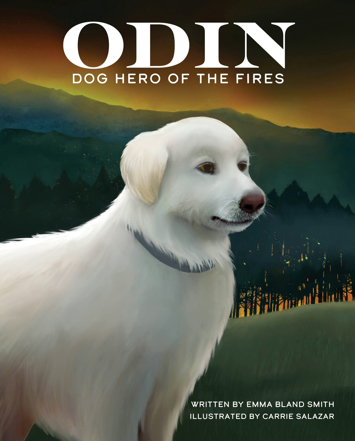 Book cover image for Odin, Dog Hero of the Fires ISBN: 9781513138107