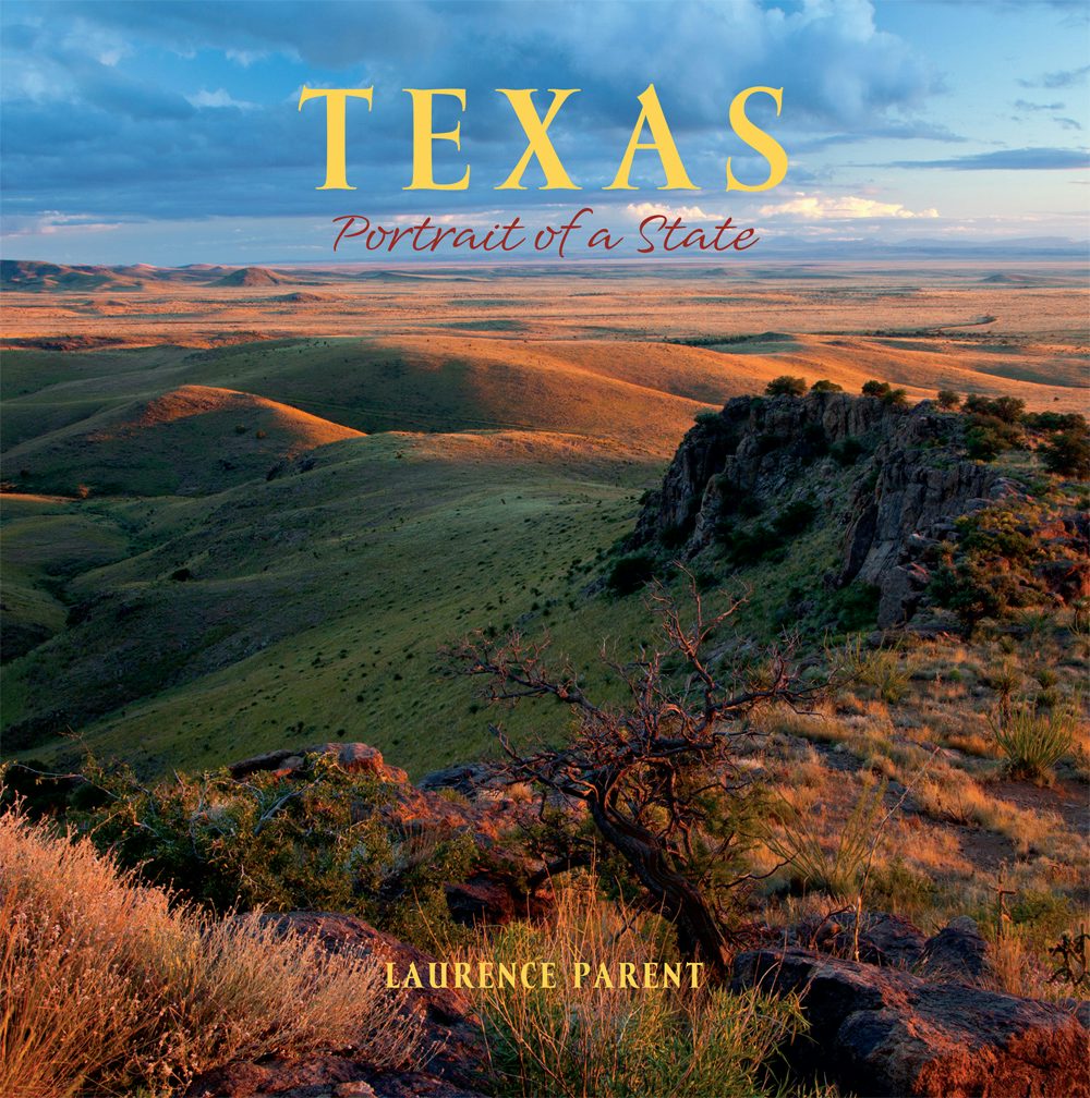 Book cover image for Texas ISBN: 9781513262185