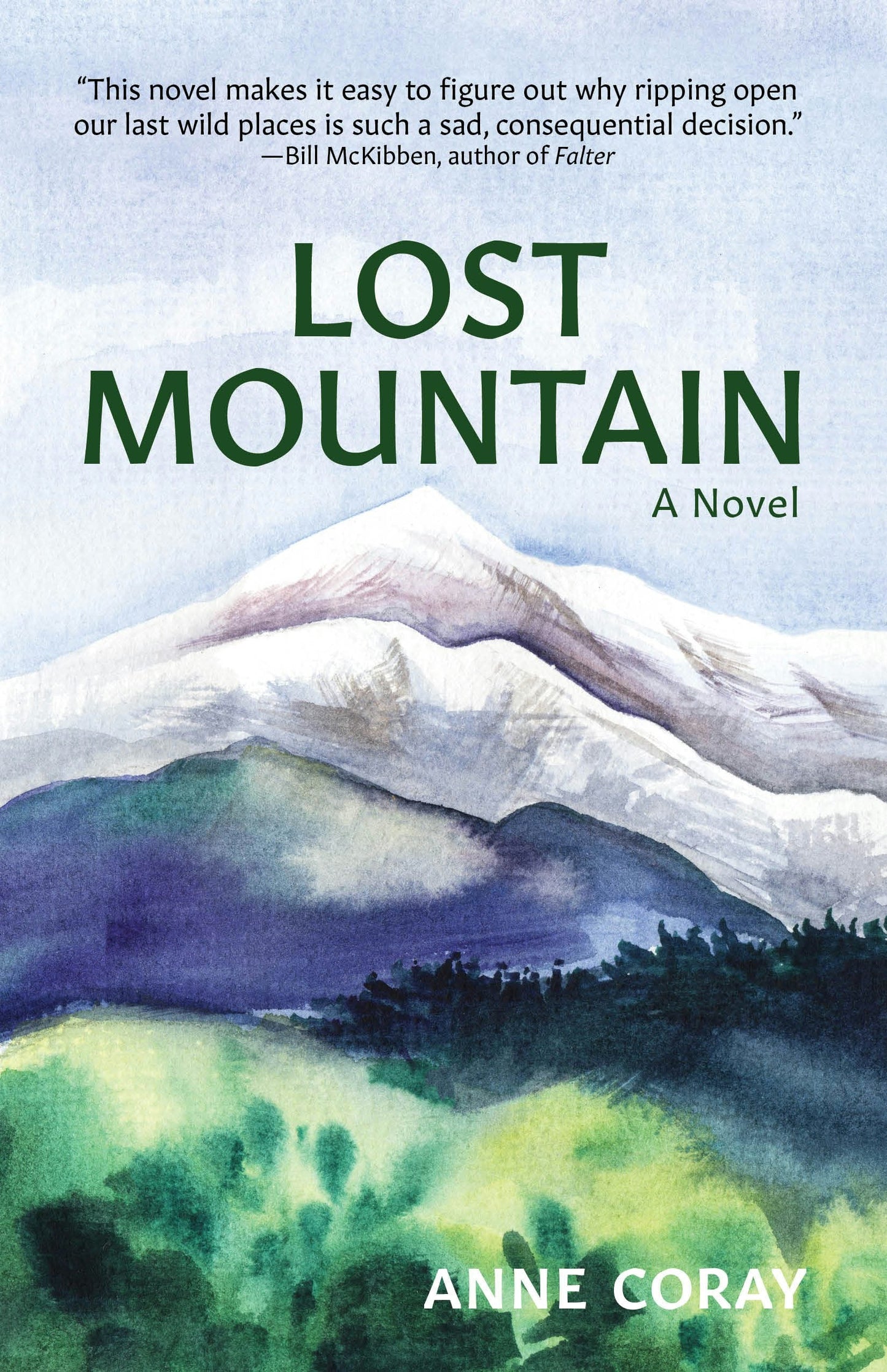 Book cover image for Lost Mountain ISBN: 9781513264455