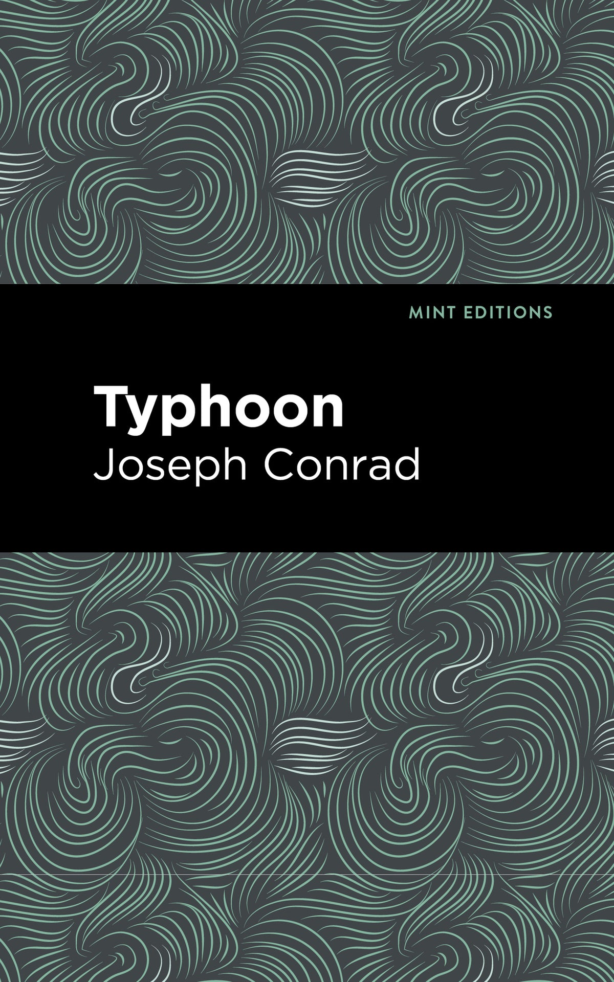 Cover image for Typhoon ISBN 9781513269405