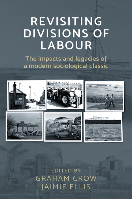 Book cover image for Revisiting  Divisions of Labour ISBN: 9781526107435