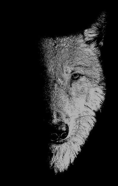 In the company of wolves