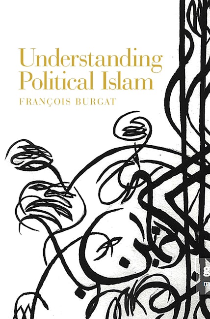Book cover image for Understanding Political Islam ISBN: 9781526143433
