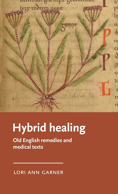 Book cover image for Hybrid healing ISBN: 9781526158499