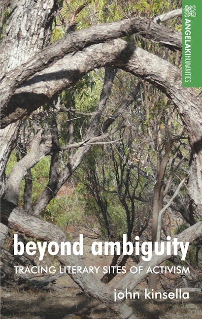 Book cover image for Beyond ambiguity ISBN: 9781526160065
