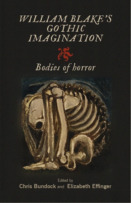 Book cover image for William Blake's Gothic imagination ISBN: 9781526166968