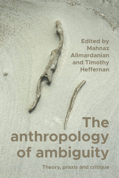 Cover image for The anthropology of ambiguity, isbn: 9781526173843