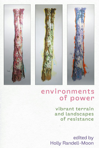 Cover image for Environments of power, isbn: 9781526179357