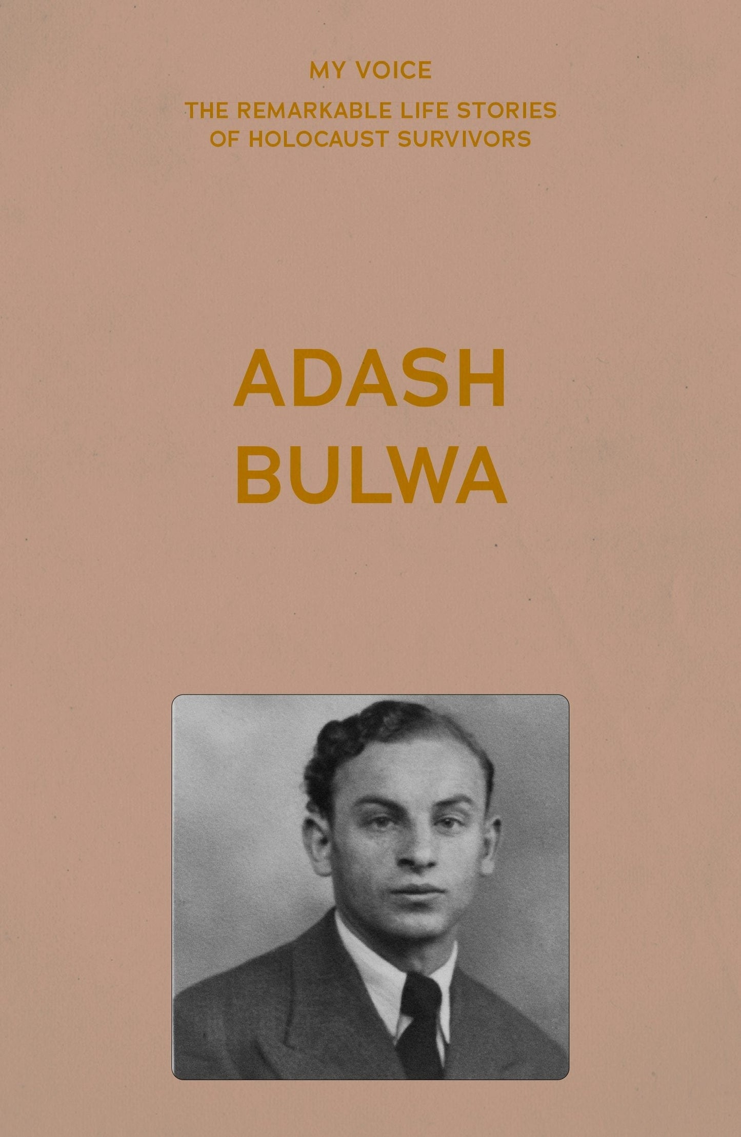 Book cover image for My Voice: Adash Bulwa ISBN: 9781526186195