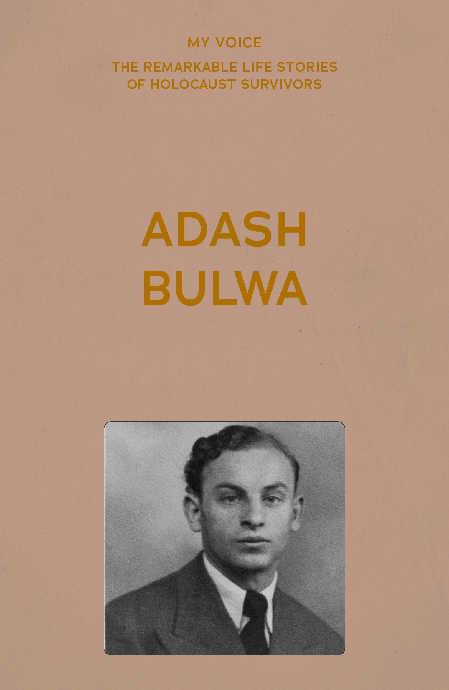 Book cover image for My Voice: Adash Bulwa ISBN: 9781526186195