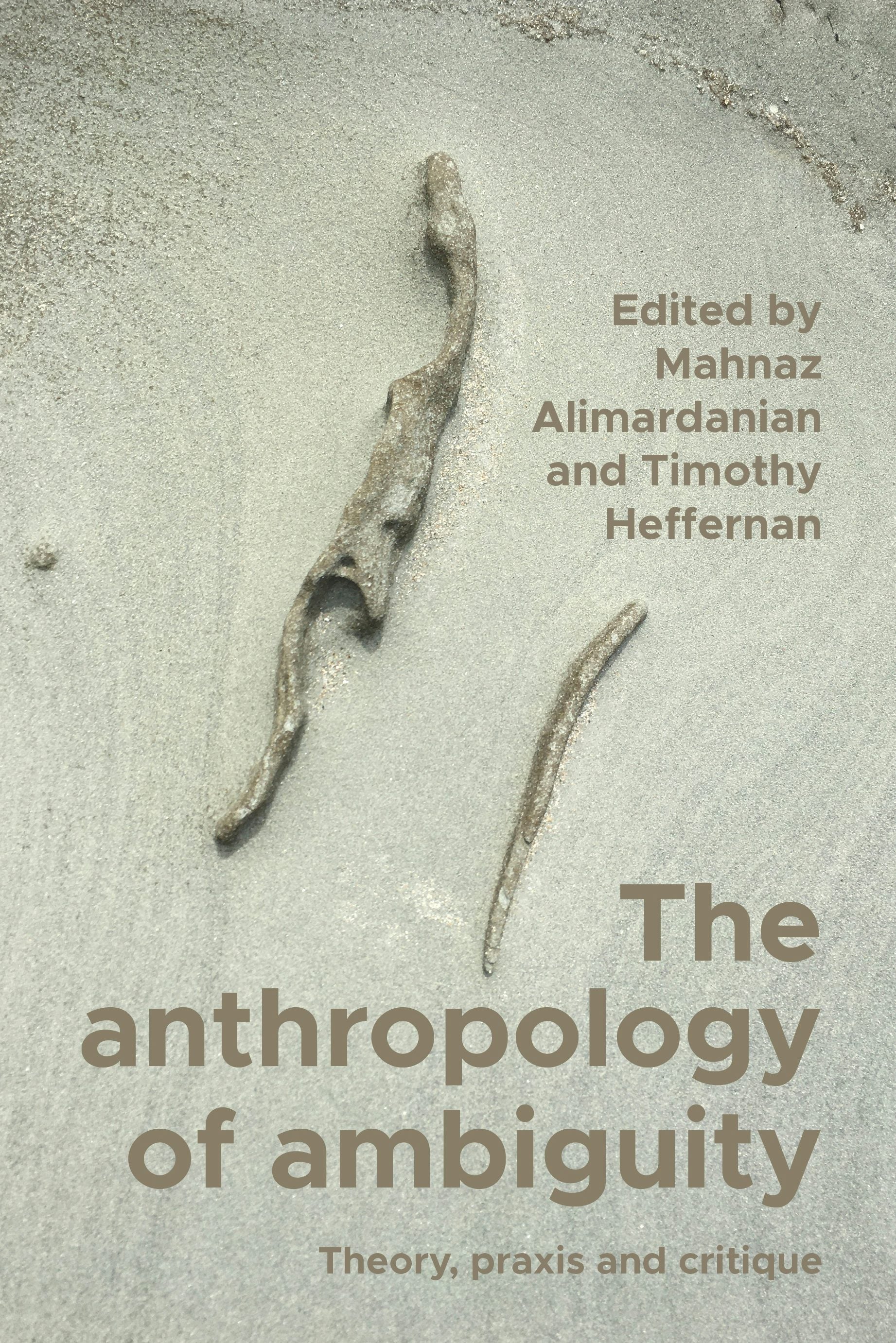 Book cover image for The anthropology of ambiguity ISBN: 9781526195777