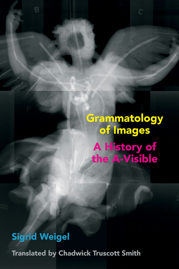 Cover image for Grammatology of Images, isbn: 9781531500276
