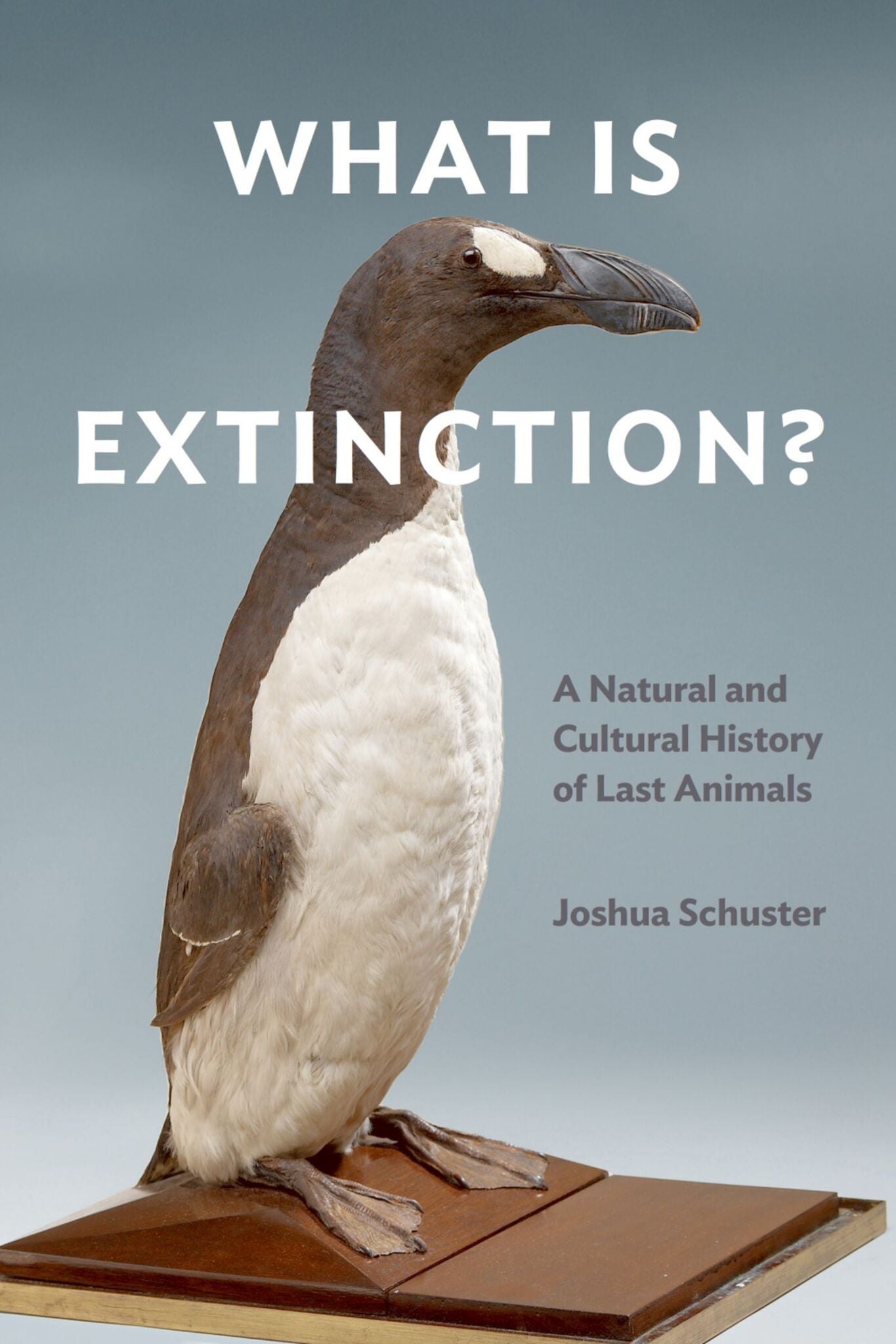 Cover image for What Is Extinction? ISBN 9781531501648