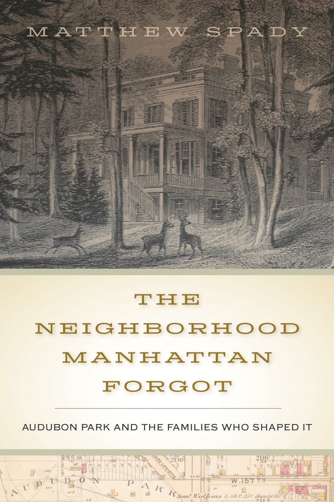Cover image for The Neighborhood Manhattan Forgot ISBN 9781531501921